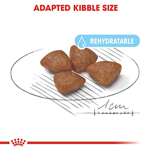 Royal Canin Hundefutter Mini Starter 8.5 kg, 1er Pack (1 x 8.5 kg)