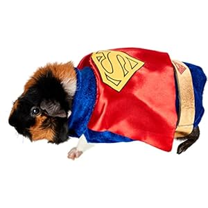 Rubie’s DC Comics Superman Sm...