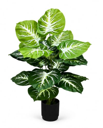Image of Cocco.BUA Artificial Plant with Black Pot, 18 Leaves, 76 CM (2.5 Feet) (Caladium Plant)