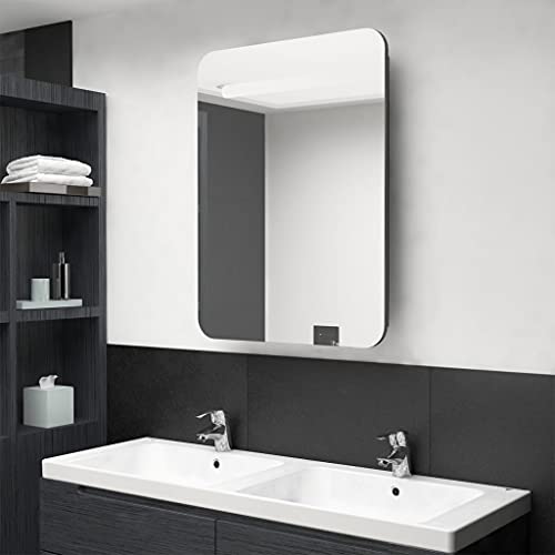 Cinyiqo Armario de baño con espejogris Antracita 60x11x80 cm, Armario De Baño, Mueble Baño Colgar, Armario Pared Baño, Mueble De Baño, Gabinete De Baño