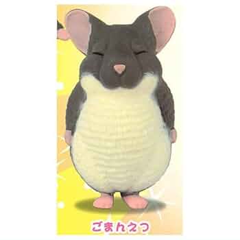 チンチラその他商品セット imgrc0097821440.jpg