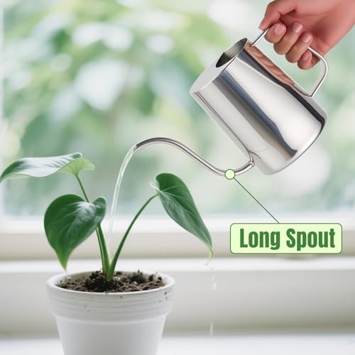 Image of Watering Can for Indoor Plants, Indoor Watering Can with Long Spout and Handle Rust-Proof 304 Stainless Steel Material (1000ml /34oz)