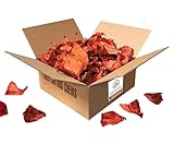 HAPPY PET MART Smoked Beef Ears for Dogs - Pack of 50
