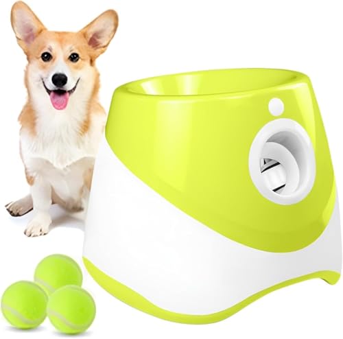 ACUOPNK {[`[ C̋ߋAm\PAXgXA^ɘaA^E^ɍœKAEOł̎gp (,9̃{[)