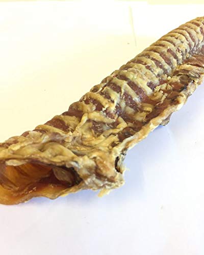 Riverside Natural Traditional Pure Beef Trachea Large Dog Chews (10”) 1KG