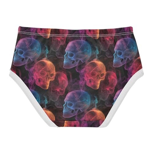 Colorful Fog Skull Black Toddler Girls's Underwear 2T 202c11202