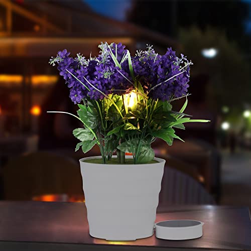 Bring Nature Indoors with the Best Solar Light Flower Pots