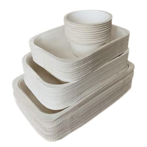 PACKNFOOD - Barquette Alimentaire - Lot de 200 Cover