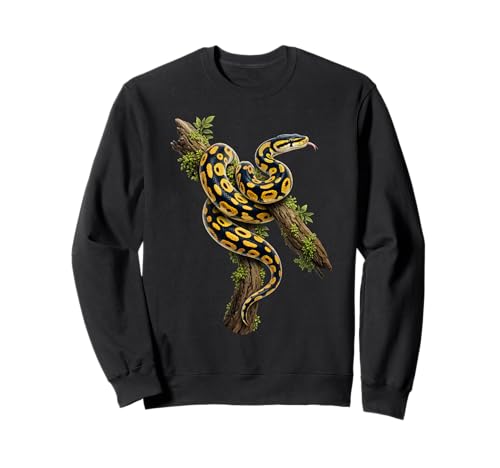 �{�[���p�C�\�� �T���O���X���D�� ঒��� �w�r Ball Python Snake Owner �g���[�i�[
