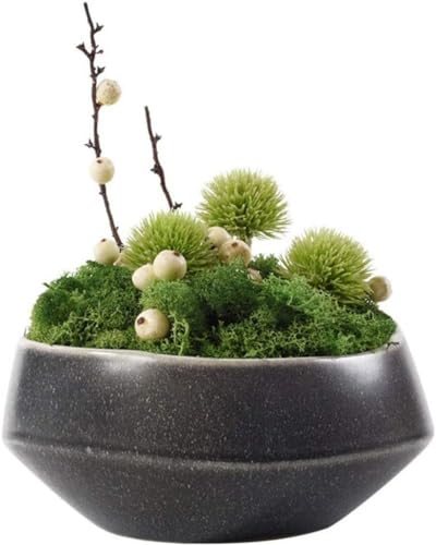 YISHUOYZBS Green Artificial Bonsai Tree Artificial Flower Eternal Flower Green Moss Artificial Plant, Ceramic Flower Pot Living Room Artificial Small Bonsai, Table Coffee Table Mini Artificial