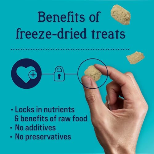Image of Stewart Freeze Dried Dog Food Topper, PuffTops, Beef, Cheese & Cranberry, 6 Ounce Resealable Pouch, Flavor Enhancing Meal Topper or Dog Treat, Made in USA