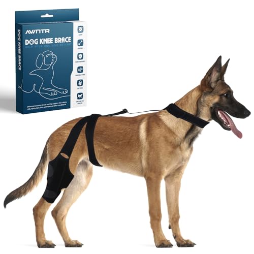 Hip Brace for Dogs The 15 best products compared Wild Explained