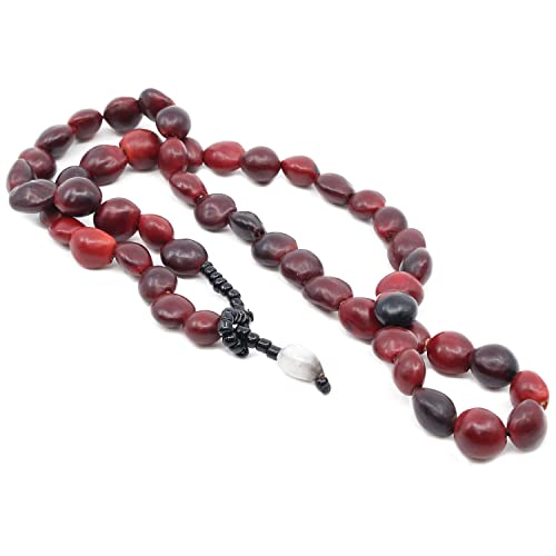 Shamans Market Shipibo Amazon Huayruro Seed Necklace