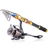Sougayilang Fishing Rod with Reel Combo H-Shark, Telescopic Spinning Travel Portable Bass Fishing Gear Kits (5.9FT+WQ2000)