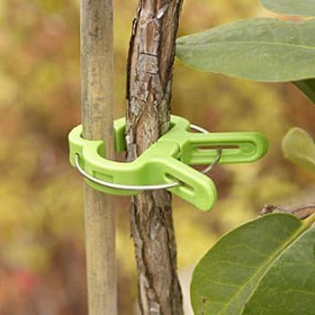 Flower and Vine Clips - Package of 15 by PLANT CLIPS