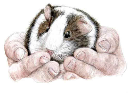 Kits de broderie point de croix hamster motif fleurs imprimé 11CT pour loisirs créatifs DIY