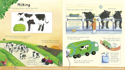 Look Inside a Farm - Image 4