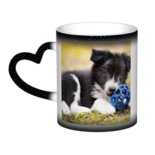 }OJbv 330ml ϐFJbv  {[_[R[ qybg R[q[Jbv  傫 Aj ObY G 蕨 Black