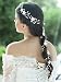 Yean Flower Bride Wedding Hair Vine Silver Bridal Headband Hair Accessories for Women and Girls (Silver)