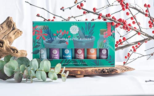 Woolzies Essential Oil Gift Set Of 6 Therapeutic Essential Oils, Blend Of Essential Oils #TOP1