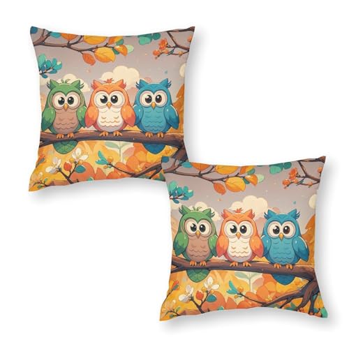 RKJVB �N�b�V�����J�o�[ 2���Z�b�g 30.52cmx30.54cm �t�N���E3�� ���������`�s���[�P�[�X �\�t�g ���K �N�b�V�����P�[�X �\�t�@/�x�b�h/�Q��/���r���O���[��/�I�t�B�X�p