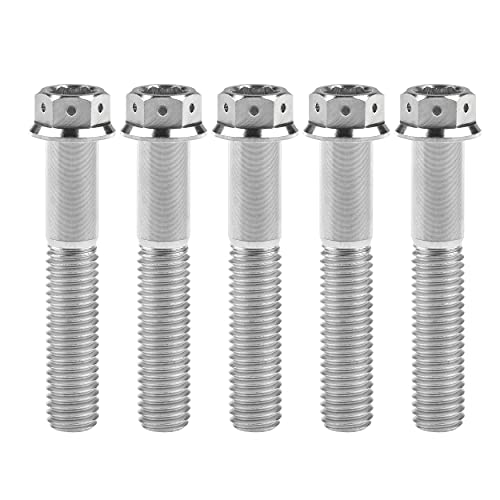Ruifuチタン合金フランジヘッド六角穴付ボルトM10 20 25 30 35 40 45 50 55 60 65 70 75 80 85 90mm 二輪車用改造ネジ5個 (M10x55mm Pitch 1.25, シルバー)