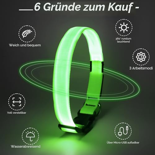 KOSKILL Leuchthalsband Hund Wiederaufladbare USB LED Hundehalsband Wasserdichtes Leuchtendes Hunde Halsband Einstellbare Super Helle für Kleine Mittlere Große Hunde (Grün, M)