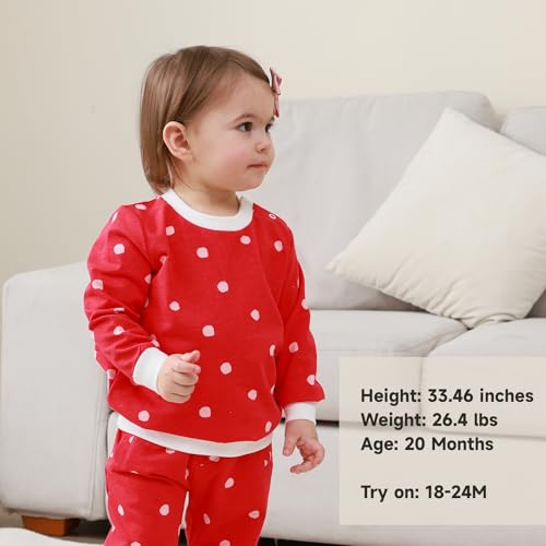 Baby Toddler Girl Long Sleeve T-Shirt - Breathable, Soft & Lightweight Top for Everyday, Fall Spring Clothes 9M-5T4