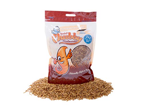 Vers de farine séchés par Chubby Mealworms - 1 kg.
