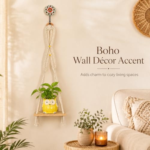 Image of Kaameri Bazaar Macrame Boho Braid Mini Shelve with Owl Shaped Planter and Ceramic Hook - Macrame wall Hanging l owl Planter Pot