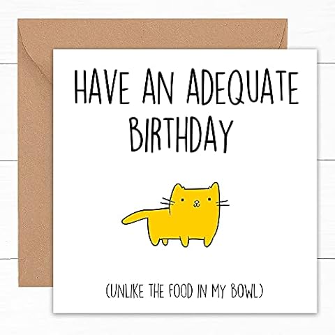 Funny Birthday Card From The Cat | Rude Cards Kitten Kitty Fur Baby Pet Lovers | For Dad Mum Husband Wife | To Him Her Man Woman Boyfriend Girlfriend Sister Brother Friend | Gifts Presents | 15cm Cover
