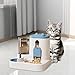 Baoblaze Automatic Pet Feeder and Waterer Dog Feeder Large Capacity, Anti Slip, Water Dispenser, Feeding Station for Cats Small Dogs, Blue