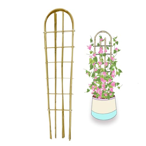 Bamboo Trellis U-Shape Bamboo Trellis 4Feet 3pack for Climbing Plants Outdoor Bamboo for Climbing Plants Tomato Vegetables Flowers Beans Cucumber Indoor Potted Climb Plants