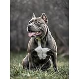 Materiales respetuosos con el medio ambiente: los kits de arte de diamantes utilizan materiales de lona importados respetuosos con el medio ambiente y pegamento de espejo importado respetuoso con el medio ambiente, que no son tóxicos, inofensivos y resistentes al agua, y se pueden aplicar a cualquier persona.