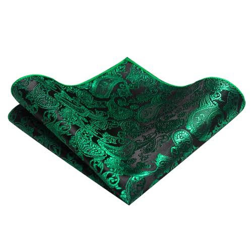 Image of JEMYGINS Mens Solid Color Paisley Necktie and Pocket Square with Tie Clip Sets
