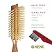Kent LC7 Half Radial Hair Brushes for Women Curling Hair Brush Made of Cherrywood - White Natural Boar Bristle Hairbrush Adds Volume to Shoulder Length Hair - Salon Style Pure Wood Brush from Kent