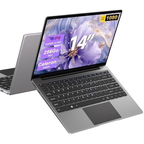 Ordenador portátil 14 Pulgadas N4020 hasta 2,8 GHz Portátil 8GB LPDDR4 RAM 256GB SSD Soporte 1TB SSD Expansión portatil 2.4G+5G WiFi BT4.2 USB, WiFi, Mini-HDMI, 1920 * 1080 IPS HD Pantalla-Gray-B