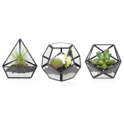 Mkono Mini Glass Geometric Terrarium Set Cover