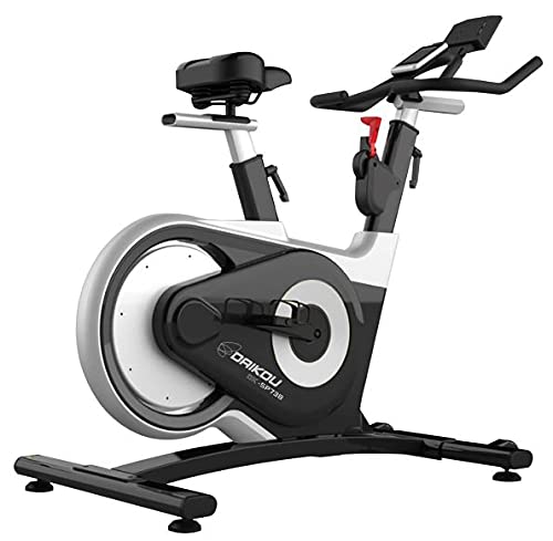 スピンバイクDAIKOU DK-738