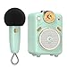 Price comparison product image Divoom Fairy-OK Portable Bluetooth Speaker with Karaoke Microphone, Handheld KTV Microphone for Adults/Kids, Home Party Karaoke Device Dynamic Microphones for iOS/Android (Green)