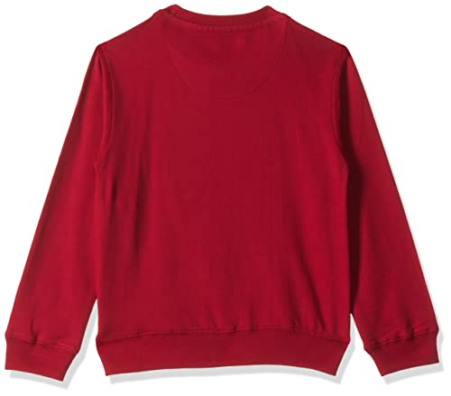 Image of U.S. POLO ASSN. UKSWSON0128 FS Round NCK SWS, 36T Sweatshirts Me. Red