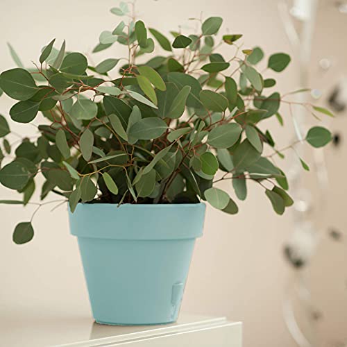 Decopots - Self Watering Planter - 11.8" Diameter - 9.9 Inches Height - Flower Pot With Bottom Watering Level Indicator For All House Plants, Flowers, Herbs (Diameter 11.8", Jade) #TOP1