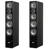 DYNAVOICE - Altavoces de suelo CHALLENGER M-65. Negro.