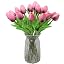 Dark Berry Pink