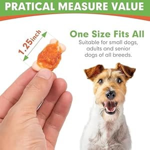 MON2SUN Dog Treats, Mini Chicken Wrapped Biscuits with Added Vitamins, Healthy Training Snacks for Small Medium and Large Dogs, 10.58oz MON2SUN Dog Treats Mini Chicken Wrapped Biscuits with Added Vitamins Healthy Training Snacks for Small Medium and Large Dogs 1058oz