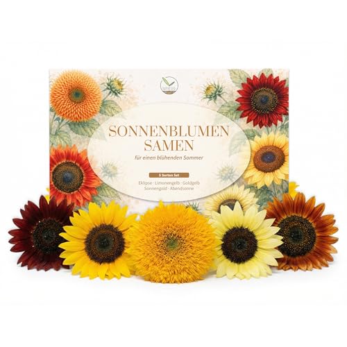 Farbenfrohe Sonnenblumen Samen mit hoher Keimrate - Blumensamen für einen bunten & bienenfreundlichen Garten (5er Set je 20 Korn)