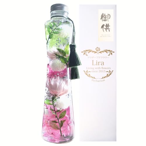 vU[uht[Lira n[oE    dp { ͂Ȃ 21p (΁EҊF)