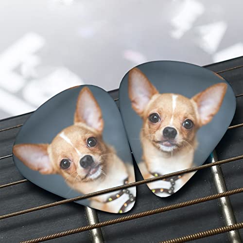 Ensemble de 12 médiators de guitare Chihuahua mignons pour guitare acoustique, guitare électrique, contrebasse, ukulélé - Les Beatles, Paul McCartney, John Lennon, RIngo Starr, George Harrison Ensemble de 12 médiators de guitare Chihuahua mignons pour guitare acoustique, guitare électrique, contrebasse, ukulélé – Image 8