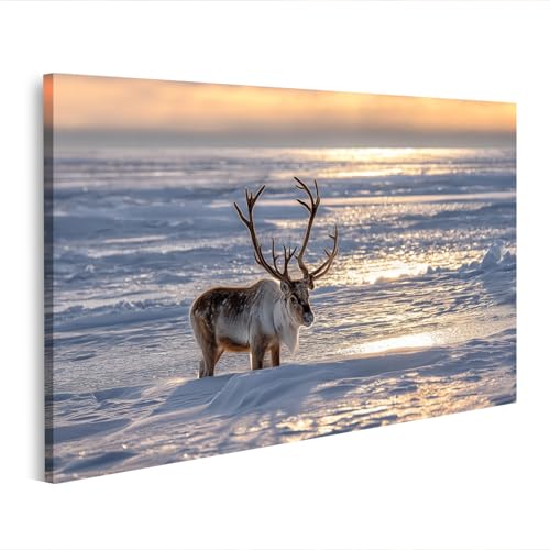 Tableau sur toile renne majestueux pour salon chaleureux deco nature islandburner