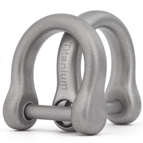 TISUR D-Rings with Screw Shackle, U Shape Key Chains Rings, Car Keys Tools, DIY Leather Craft Purse/Wallet Buckle 2pcs, 0.35'', Matte/Titanium, tiny